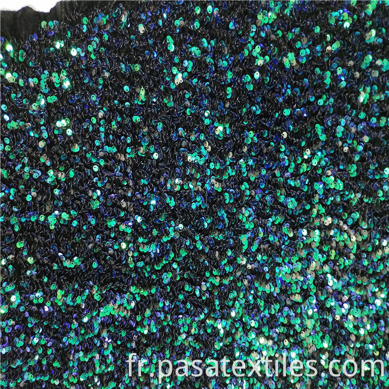 Velvet Fabric Sequin